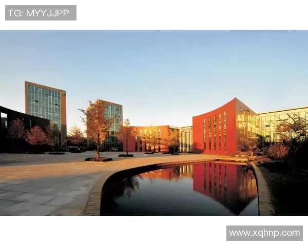 红桃国际跨文化传播助力全球文化交流与理解的创新之路